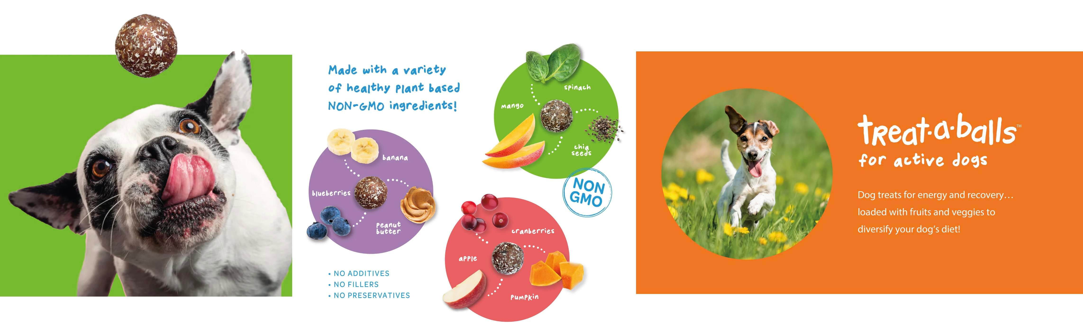 2.4.2 HERO_2 BOTTOM HERO