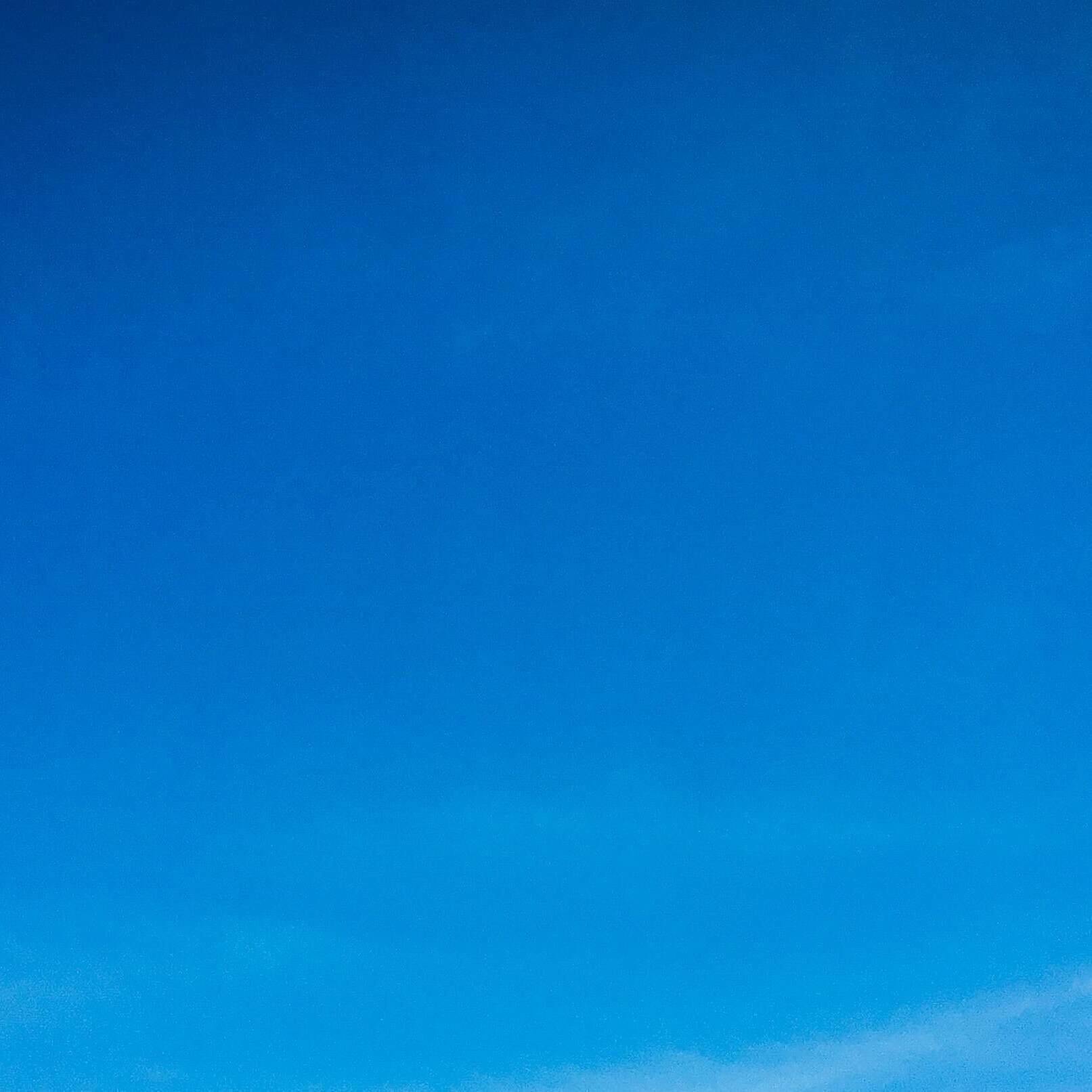 kumiko-shimizu-lNxMcE8mvIM-unsplash (Edit)